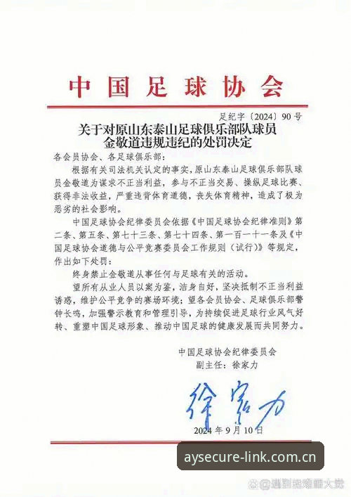 足协第三批禁足名单4个硬核信息：17人终身、48人限业、5年红线、全链条覆盖｜爱游戏体育梳理